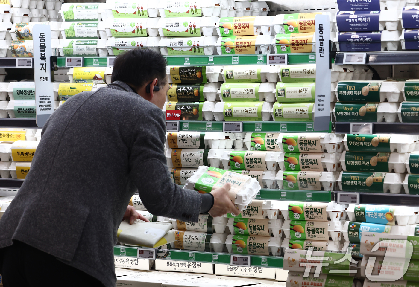 (서울=뉴스1) 김민지 기자 = 고병원성 조류인플루엔자 확산으로 산란계 살처분이 이뤄지면서 계란 한 판(30개) 평균 소비자가격이 다시 7000원대로 올라섰다.13일 축산물품질평가 …