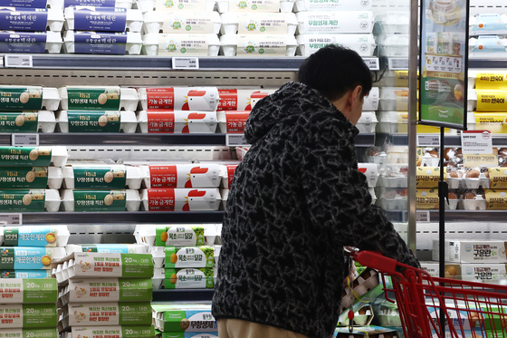 또 오른 계란 가격