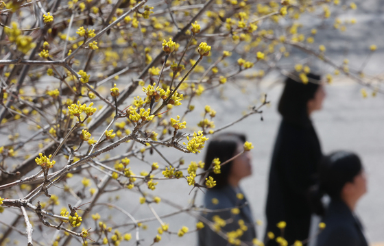 봄이 찾아오나봄