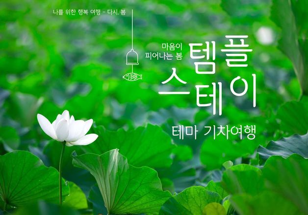 10만원에 기차 타고 사찰 여행…템플스테이 열차 29일 출발