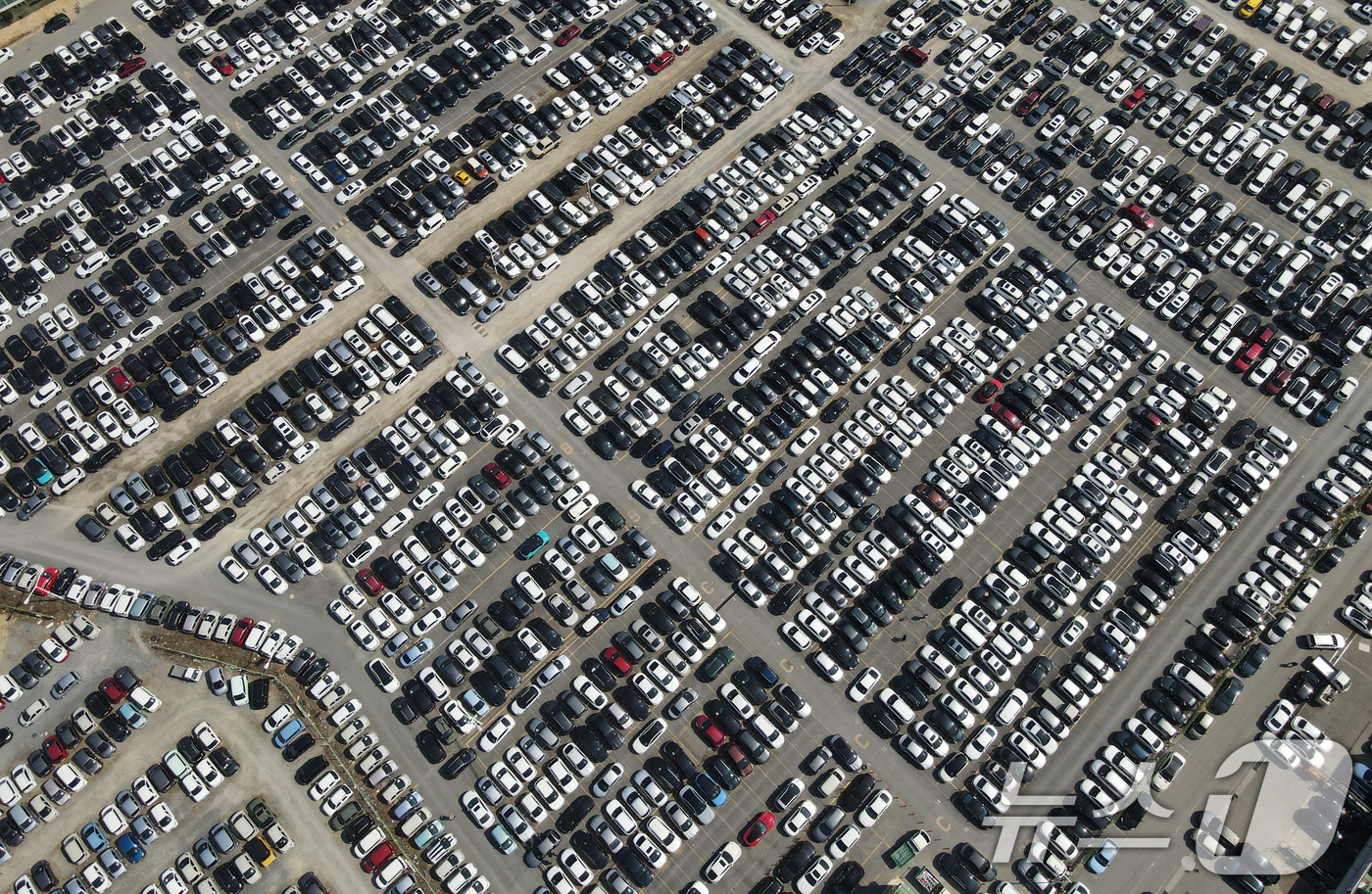 (대전=뉴스1) 김기태 기자 = 중동 전쟁 여파로 국내 휘발유·경유 가격이 연속 상승하며 중고차 시장의 매매가 줄어들고 있는 가운데 13일 대전 중고차 매매단지에 차량이 주차돼 있 …