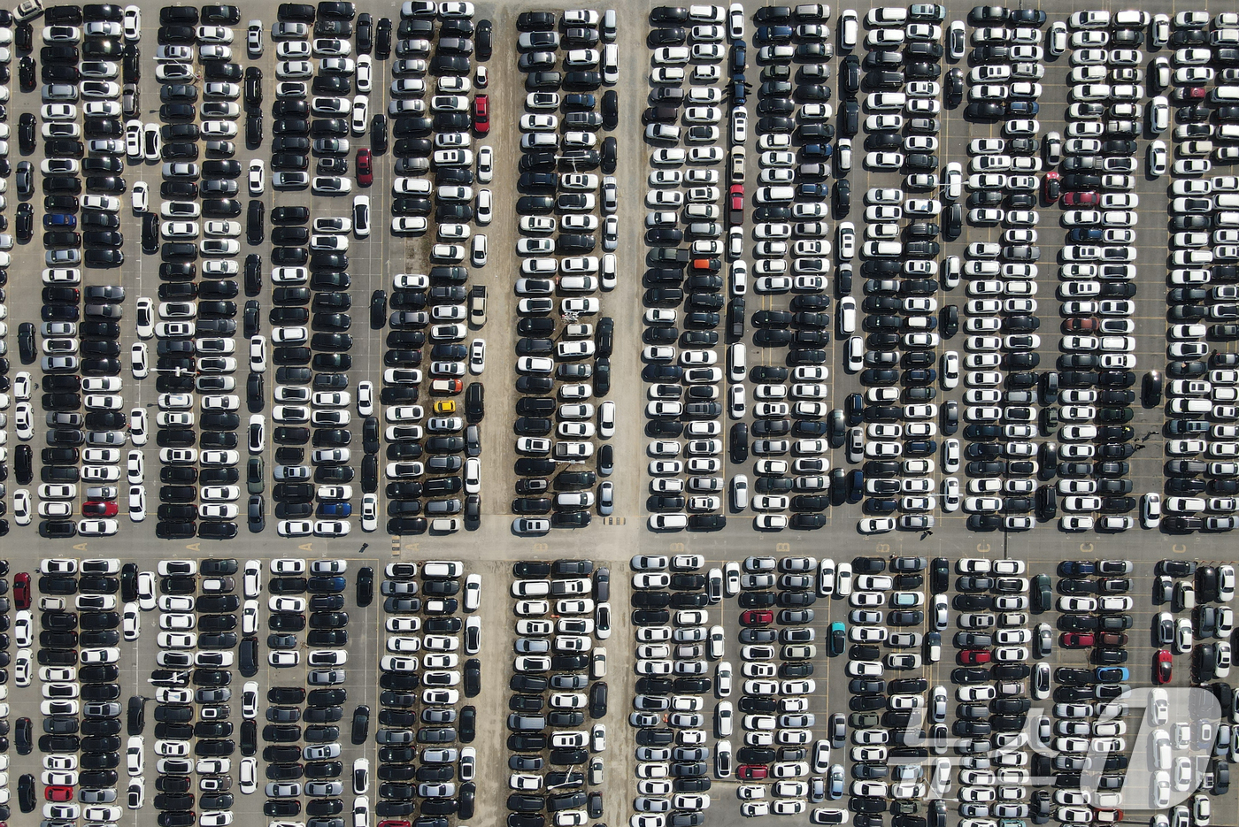 (대전=뉴스1) 김기태 기자 = 중동 전쟁 여파로 국내 휘발유·경유 가격이 연속 상승하며 중고차 시장의 매매가 줄어들고 있는 가운데 13일 대전 중고차 매매단지에 차량이 주차돼 있 …