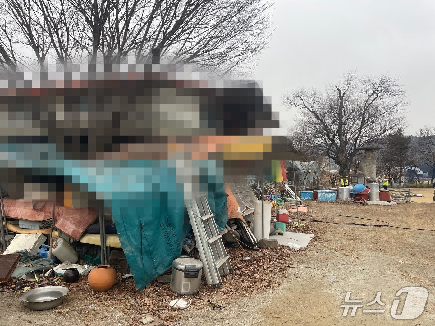 본문 이미지 - 충주 신니면 원평리 미륵불 옆 사유지.(독자 제공. 재판매 및 DB금지) 