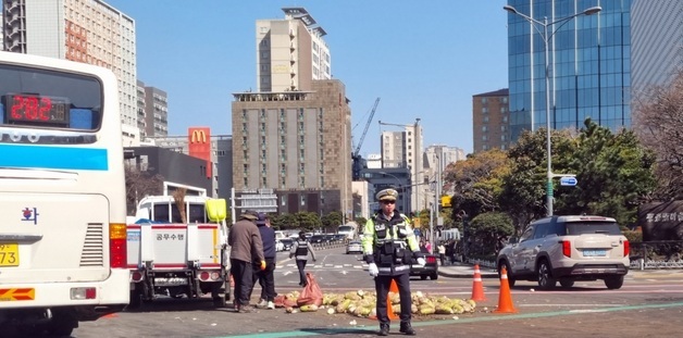 제주시 도심 거리에 '월동무' 와르르…차량 정체