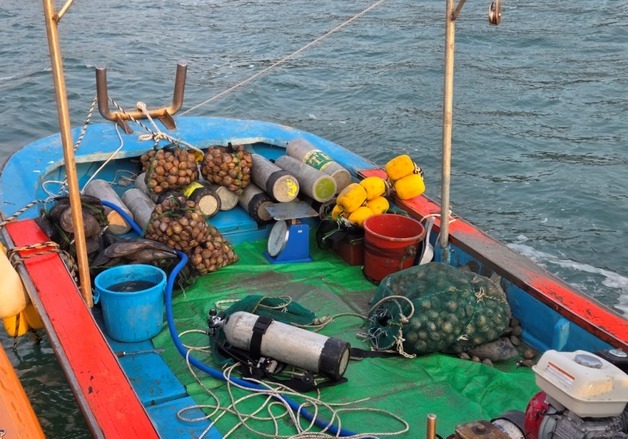 득량만서 고흥까지 도주한 '새조개 불법 채취' 잠수부 5명 검거