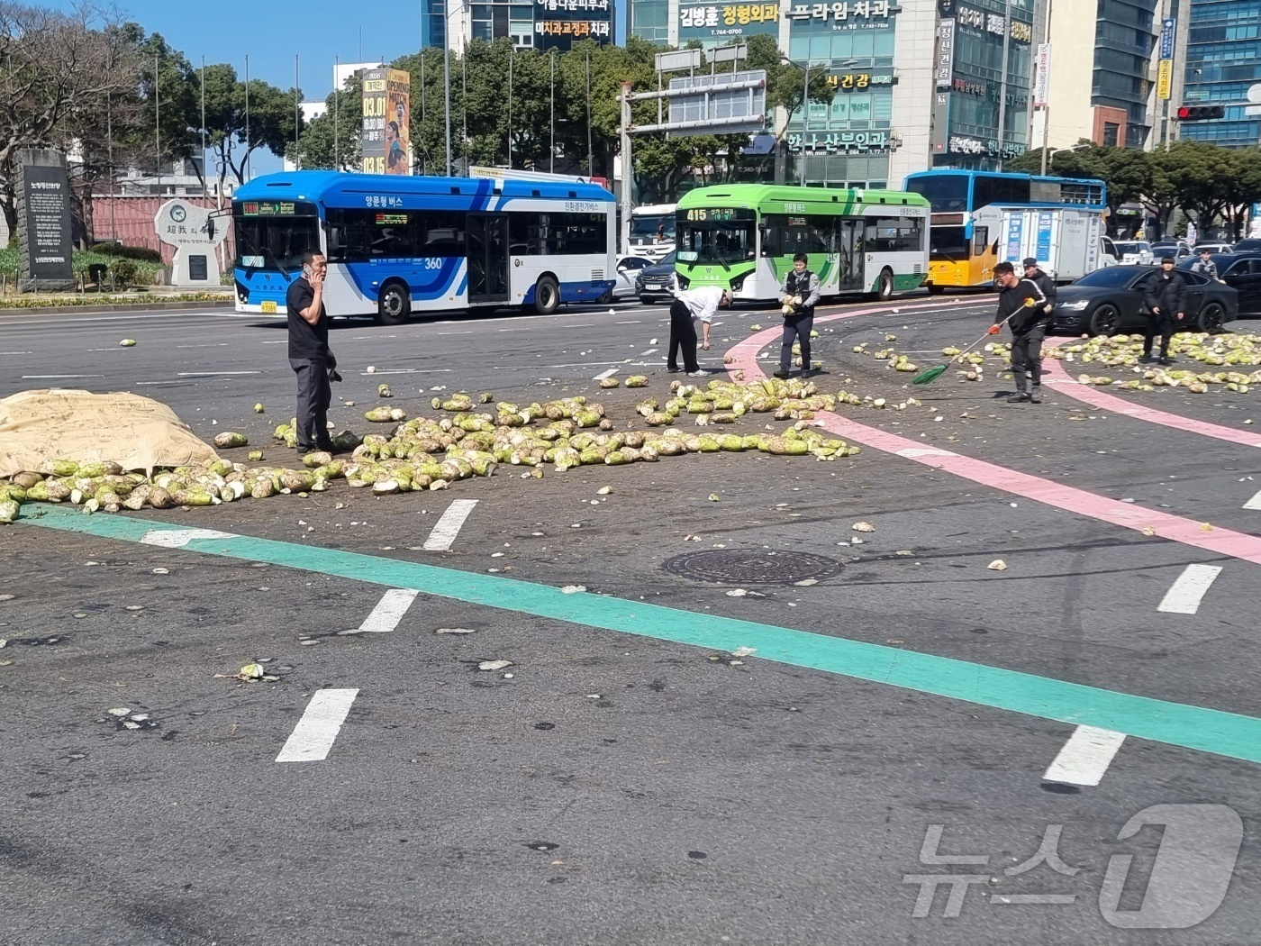 (제주=뉴스1) 홍수영 기자 = 13일 오후 2시10분쯤 제주시 노형오거리를 운행하던 25톤 트럭에서 월동무가 쏟아져 도로에 나뒹굴고 있다. (제주경찰청 제공. 재판매 및 DB 금 …