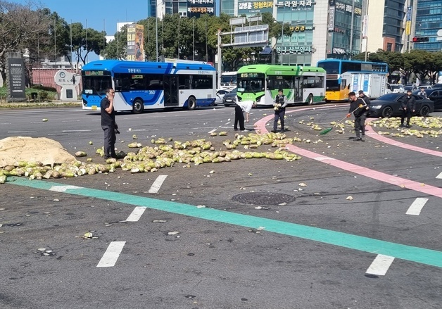 제주시내 도로에 쏟아진 월동무 2톤