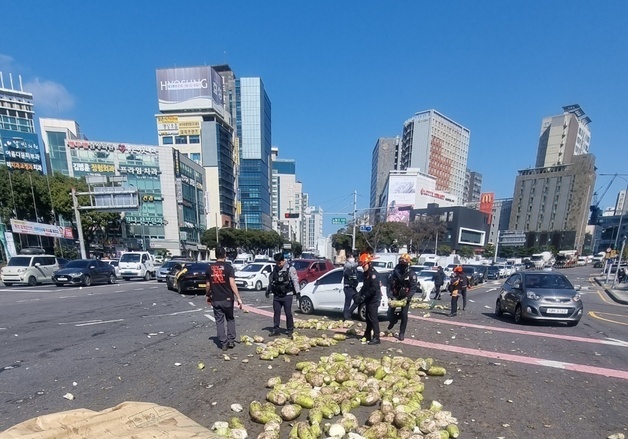 월동무 2톤 도로 위 '와르르'…길가던 시민들 달려와 도왔다(종합)