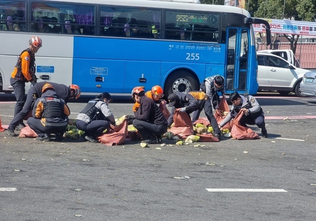 제주시내 도로에 쏟아진 월동무 2톤