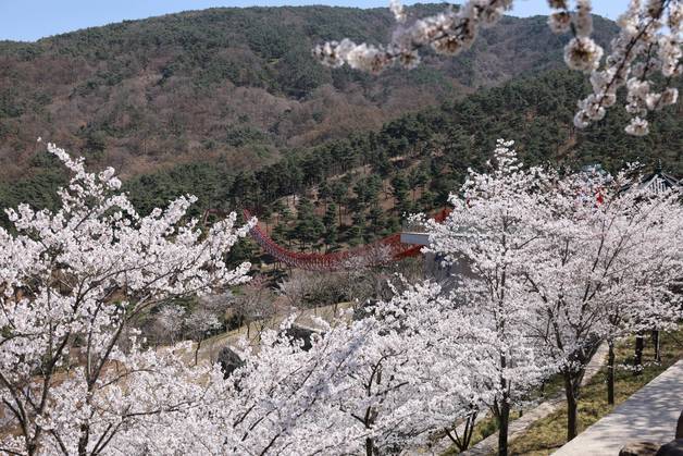 사계절 축제 열리는 산청군, 웰니스 관광도시 도약 추진