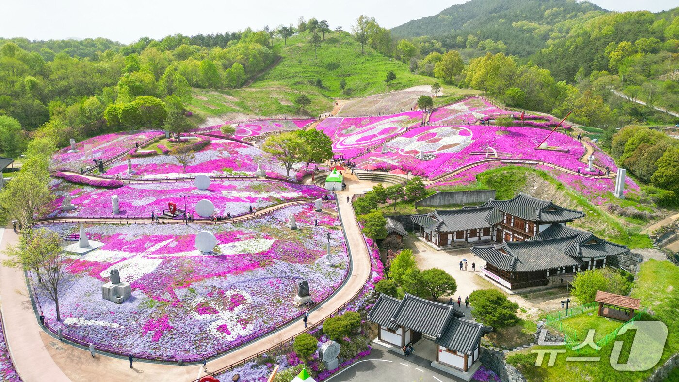 본문 이미지 - 산청 생초국제꽃잔디축제장(산청군 제공. 재판매 및 DB금지).