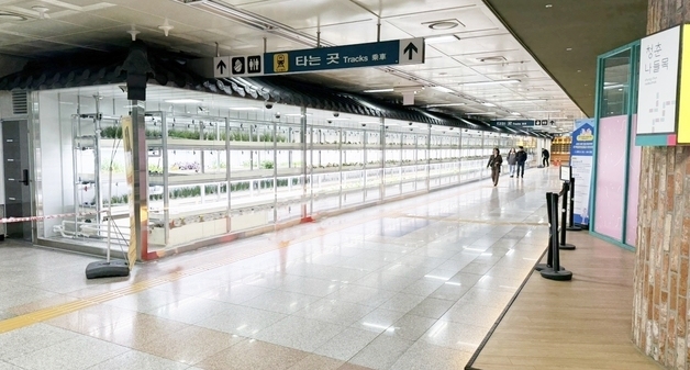 대전교통공사, 대전역 지하 유휴공간에 '도심형 스마트팜' 개장