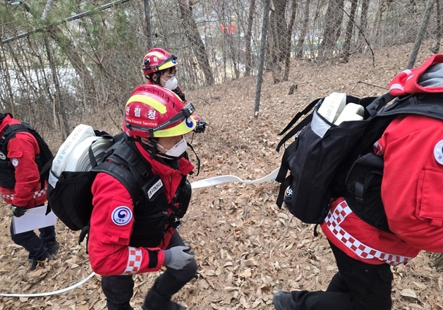 "동해안 산불 위험 대비"…강릉국유림관리소 특별대책기간 운영