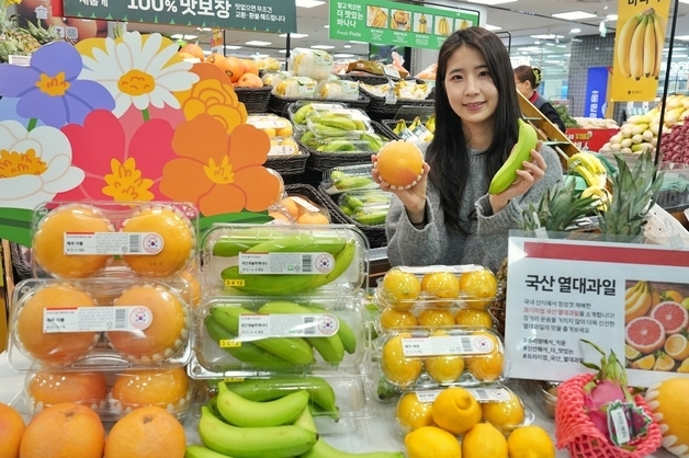 "기후 변화로 바뀐 과일 지도"…롯데마트, 국산 열대·아열대 과일 출시