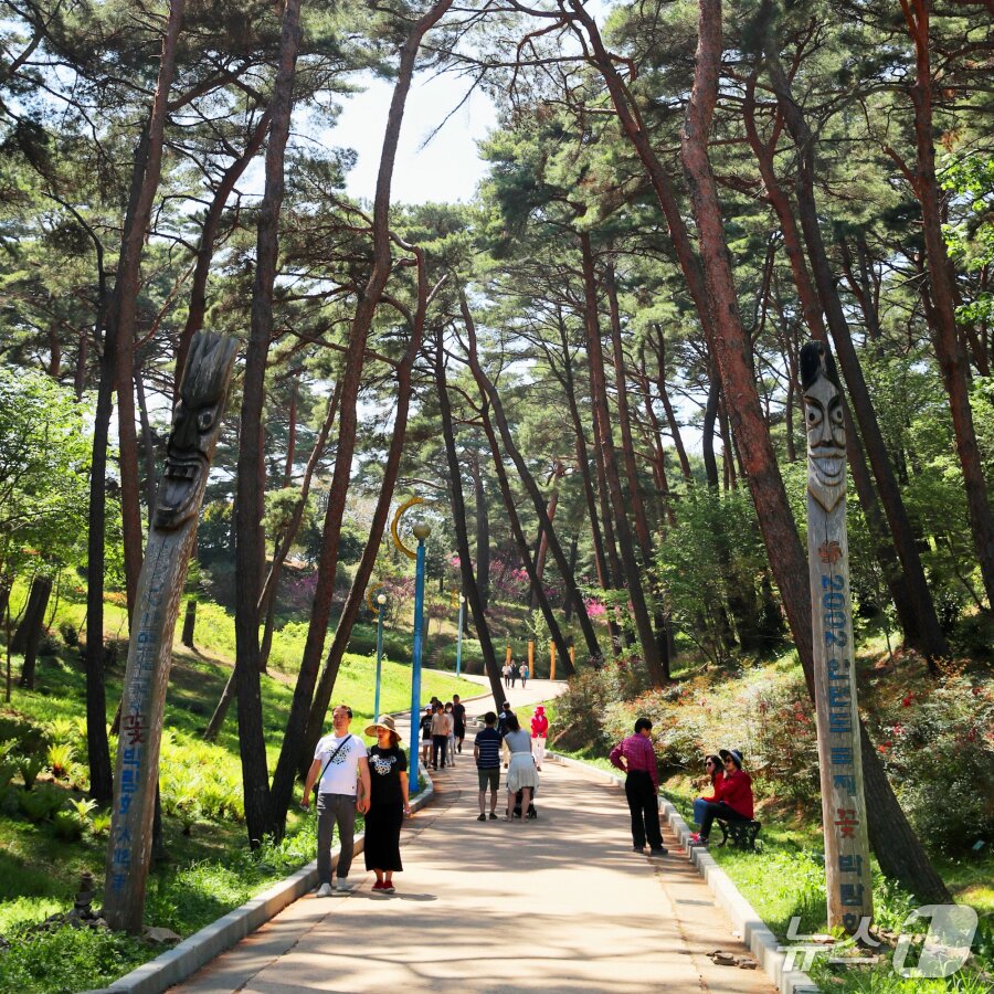 본문 이미지 - 체류형 관광지 안면도휴양림 모습(태안군 제공. 재판매 및 DB금지)2026.3.13/뉴스1