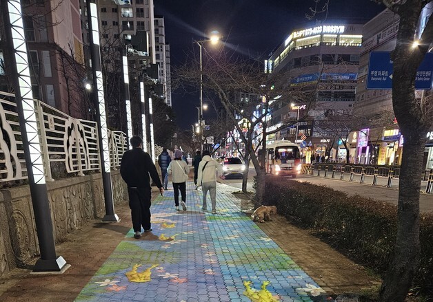 어둡던 신호동 중심상가 밝아졌다…경관조명 12일 '첫 불'