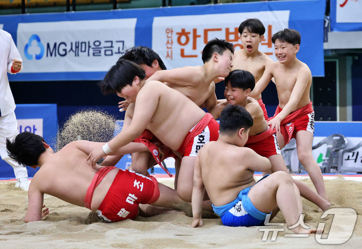 (서울=뉴스1) = 13일 경상북도 문경시 문경실내체육관에서 열린 ‘제56회 회장기전국장사씨름대회' 초등학교부 단체전 우승을 차지한 순천팔마초등학교(전라남도) 선수들이 우승을 확정 …