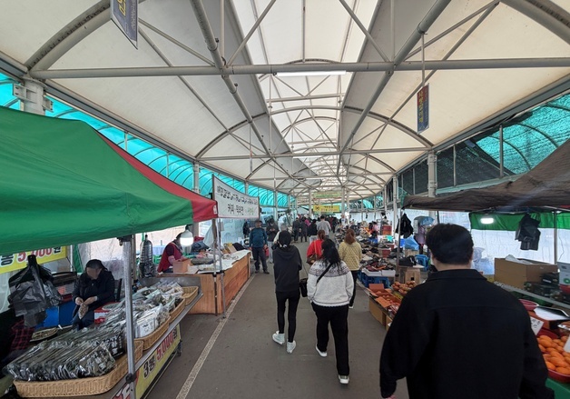 주말 봄날씨에 강원 관광지 나들이객 북적