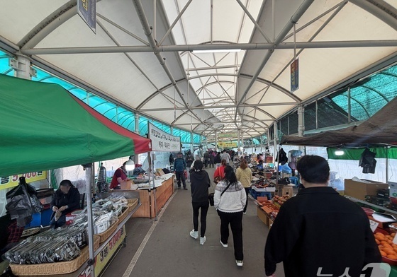 맑고 포근한 봄 날씨…전국 관광지·공원 나들이객 발길(종합)