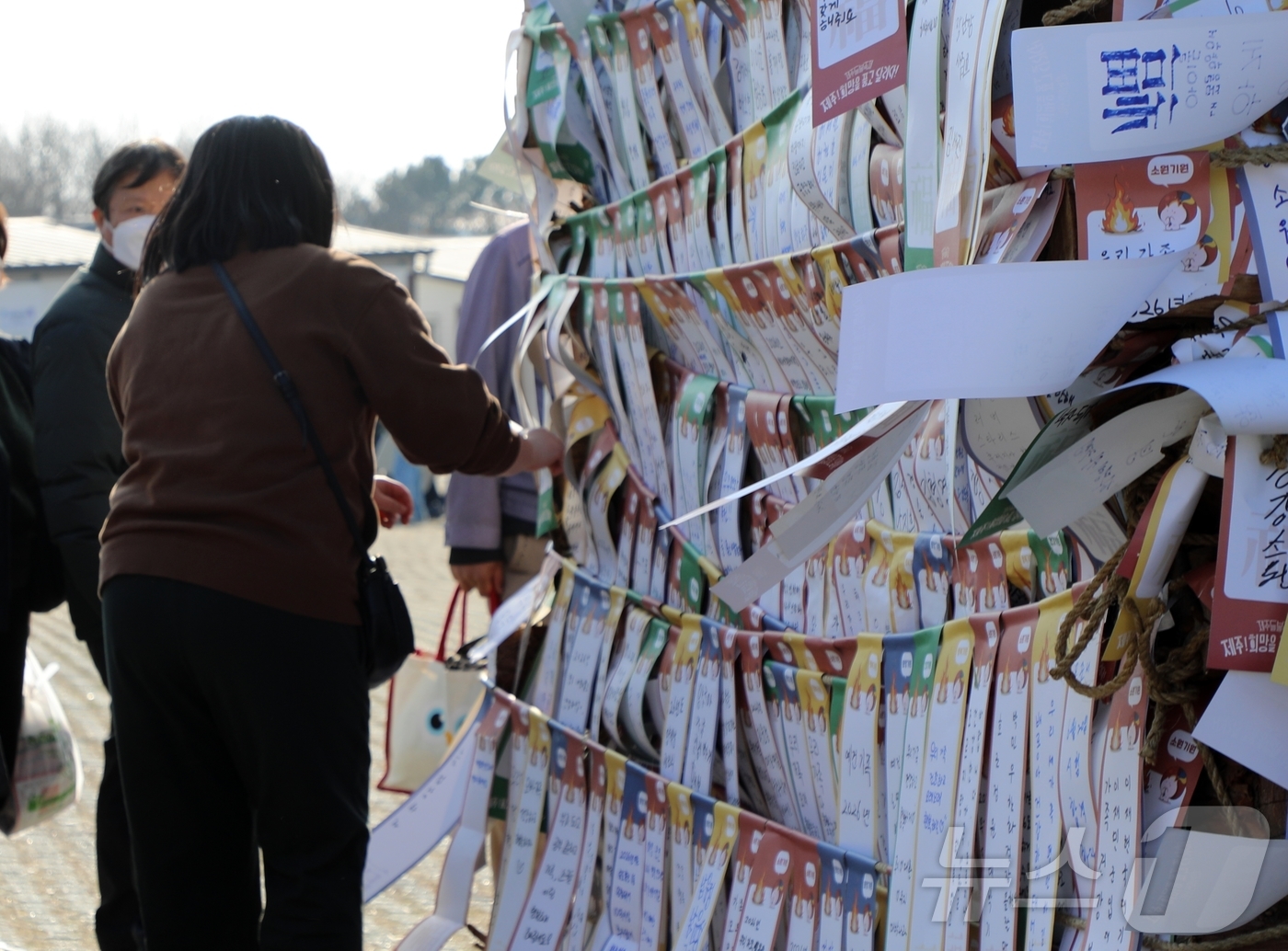 (제주=뉴스1) 홍수영 기자 = 14일 오후 제주시 애월읍 새별오름 일원에서 열린 제주들불축제를 찾은 도민들이 달집에 소원지를 걸고 있다. 2026.3.14/뉴스1
