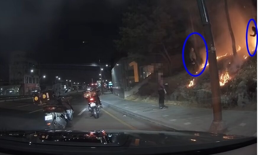 본문 이미지 - 온라인 커뮤니티