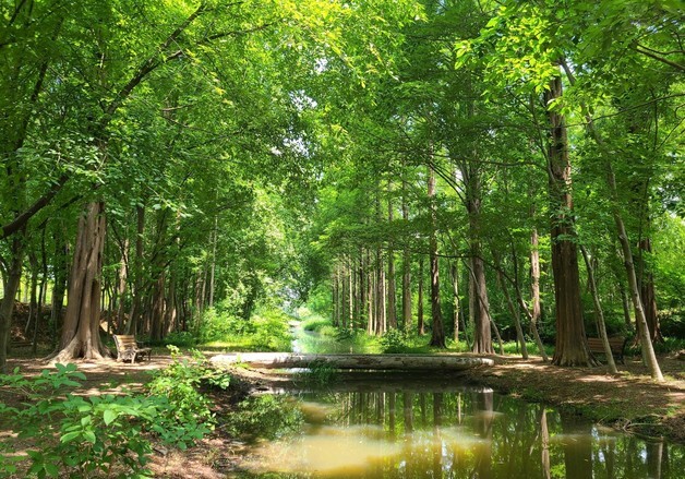 경북 14개 시·군에 도시숲 29곳 조성…도심 녹지 확대
