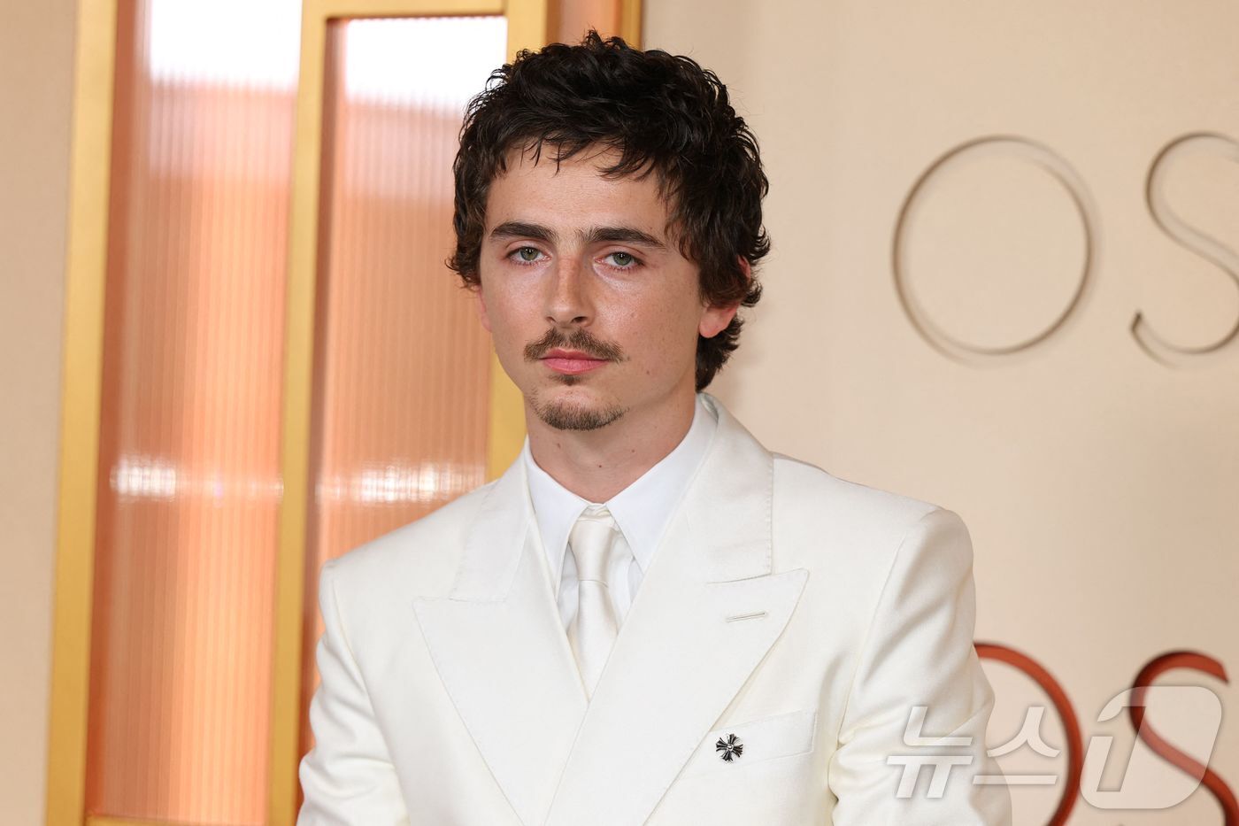 본문 이미지 - 티모시 샬라메 ⓒ AFP=뉴스1