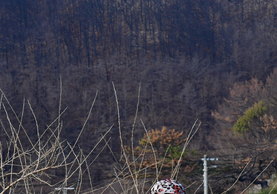 '산불 잊을 수 가 없지요'