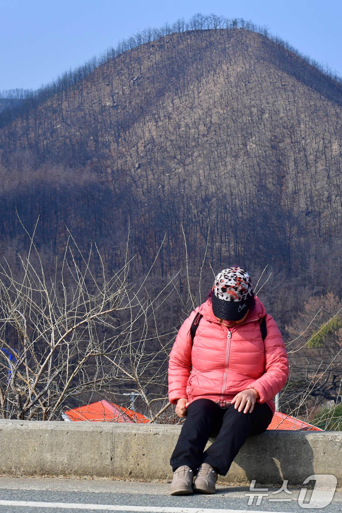 (영덕=뉴스1) 최창호 기자 = 16일 오전 지난해 3월 산불 피해지역인 경북 영덕군 영덕읍 석리 해안 마을(일명 따개비 마을)에서 주민이 버스를 타기 위해 정류장으로 걸어가던 중 …