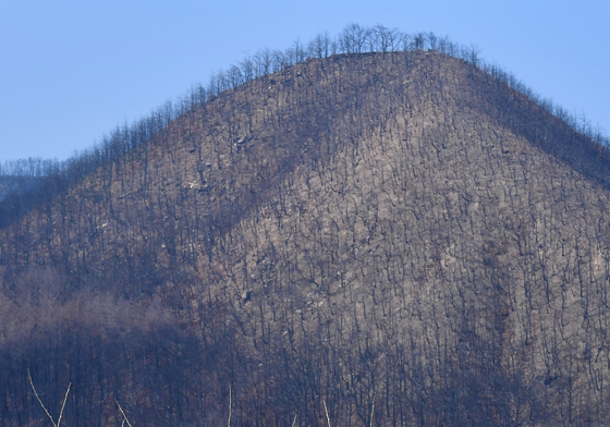 산불 1년, 그날 아직도 생생합니다