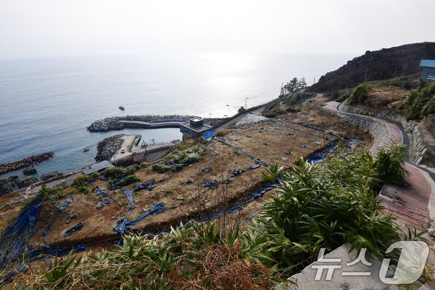 본문 이미지 - 경북 영덕군 영덕읍 석리 해안마을(일명 따개비마을)의 집터가 텅 비어 있다. 2026.3.16 ⓒ 뉴스1 최창호 기자