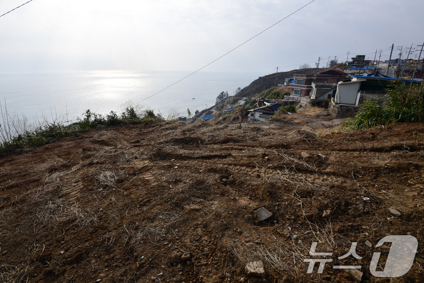 (영덕=뉴스1) 최창호 기자 = 16일 오전 지난해 3월 산불 피해지역인 경북 영덕군 영덕읍 석리 해안 마을(일명 따개비 마을)에 있는 집터가 텅비어 있다.석리는 지난해 3월 22 …