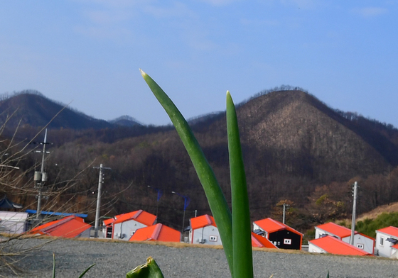 영덕 산불 1년, 지워지지 않는 상흔