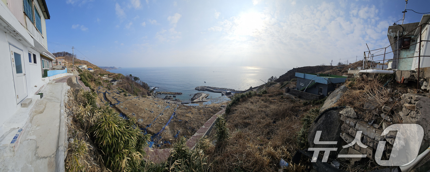 (영덕=뉴스1) 최창호 기자 = 16일 오전 지난해 3월 산불 피해지역인 경북 영덕군 영덕읍 석리 해안 마을(일명 따개비 마을) 곳곳에는 산불 피해 주택이 철거된 후 텅비어 있다. …