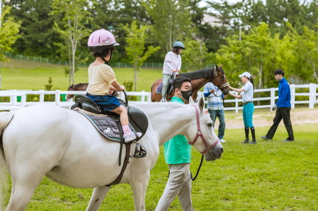 말과 함께하는 치유… 렛츠런파크 부산경남, '홀스테라피' 프로그램 운영