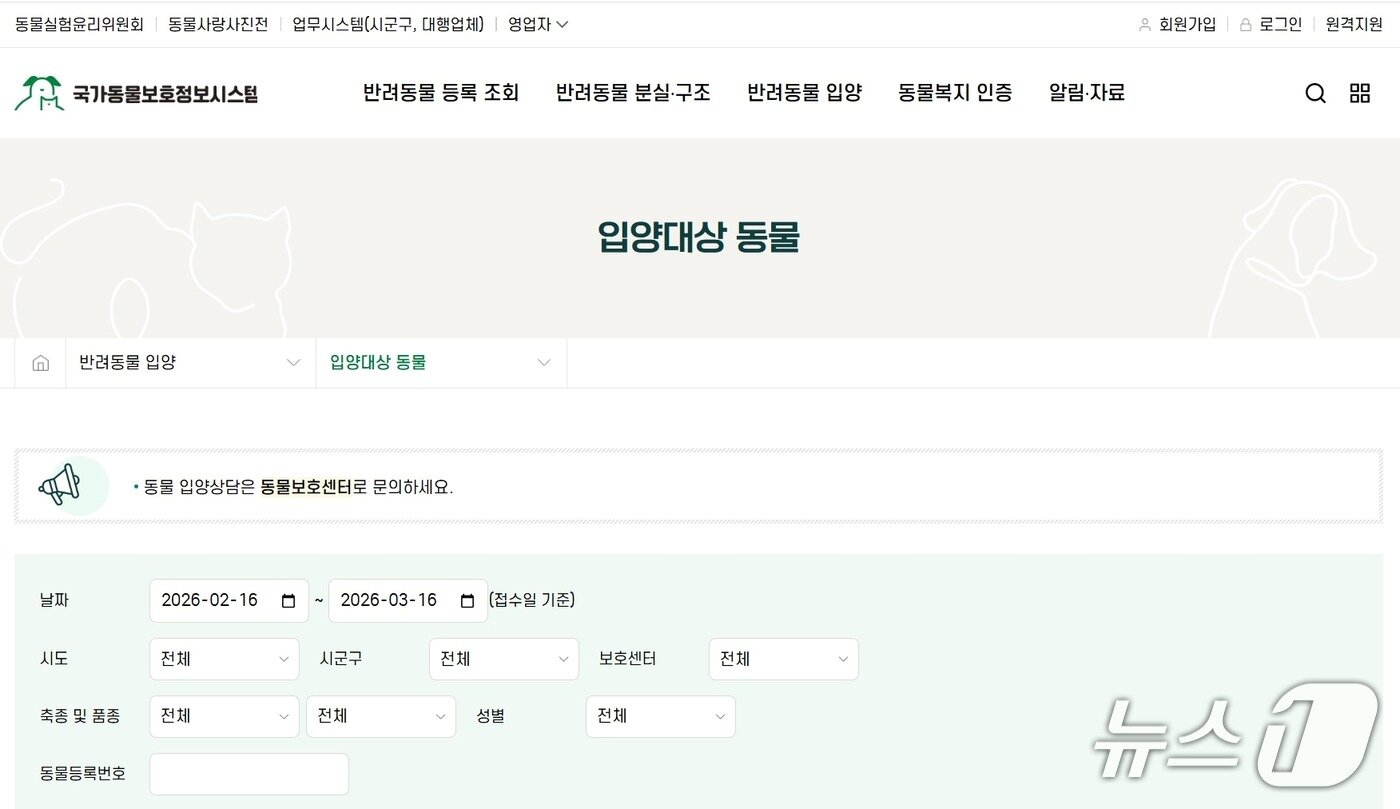 본문 이미지 - 국가동물보호정보시스템 갈무리 ⓒ 뉴스1
