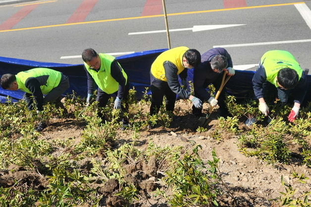 남부발전, 감천문화마을 인근 야산에 나무심어