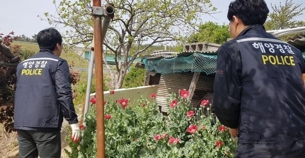 사천해경, 해양 마약류 범죄 집중 단속 실시