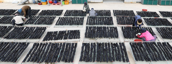 미역 말리기 좋은 날