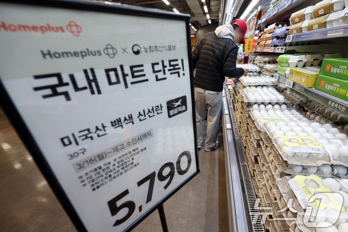 (서울=뉴스1) 황기선 기자 = 16일 서울 강서구 홈플러스 강서점에 '미국산 백색 신선란'이 판매되고 있다. 홈플러스는 농림축산식품부와함께 미국산 신선란 추가 수입 물량 중 2만 …
