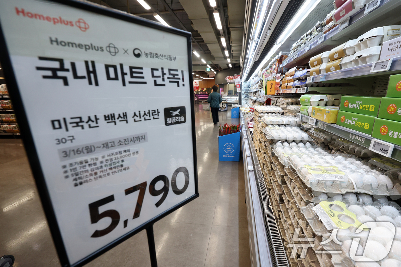 (서울=뉴스1) 황기선 기자 = 16일 서울 강서구 홈플러스 강서점에 '미국산 백색 신선란'이 판매되고 있다. 홈플러스는 농림축산식품부와함께 미국산 신선란 추가 수입 물량 중 2만 …