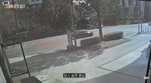 본문 이미지 - 온라인커뮤니티. SBS 방송 화면