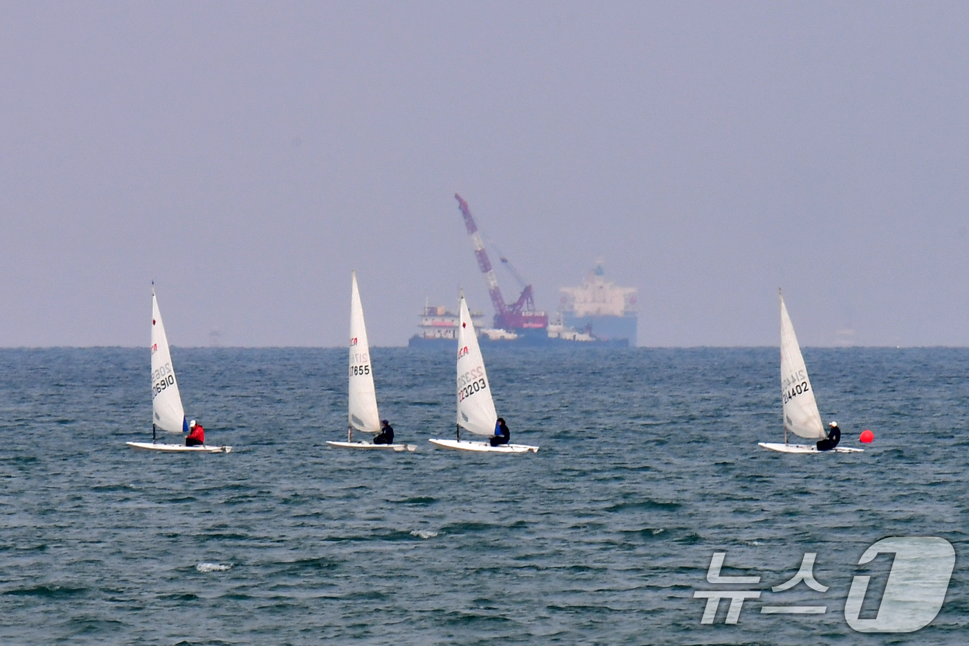 (포항=뉴스1) 최창호 기자 = 16일 오후 경북 포항시 북구 영일대해수욕장 앞 바다에서 딩기요트들이 봄바람을 타고 달리고 있다.  2026.3.16/뉴스1