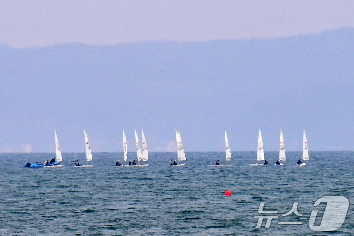 (포항=뉴스1) 최창호 기자 = 16일 오후 경북 포항시 북구 영일대해수욕장 앞 바다에서 딩기요트들이 봄바람을 타고 달리고 있다. 2026.3.16/뉴스1