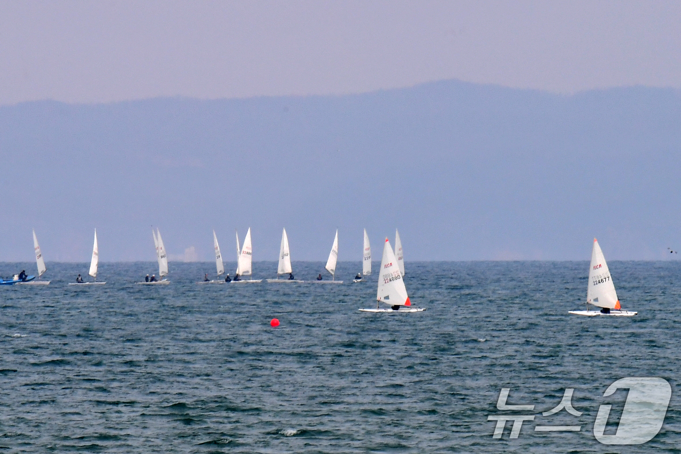(포항=뉴스1) 최창호 기자 = 16일 오후 경북 포항시 북구 영일대해수욕장 앞 바다에서 딩기요트들이 봄바람을 타고 달리고 있다. 2026.3.16/뉴스1