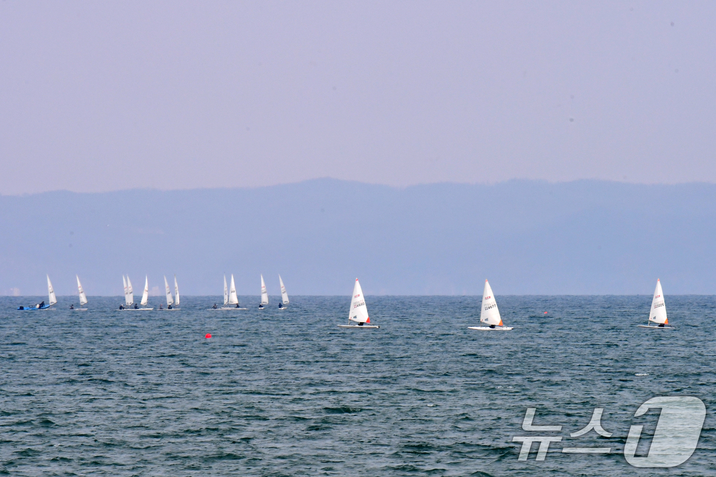 (포항=뉴스1) 최창호 기자 = 16일 오후 경북 포항시 북구 영일대해수욕장 앞 바다에서 딩기요트들이 봄바람을 타고 달리고 있다. 2026.3.16/뉴스1