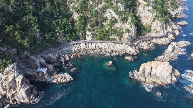 삼척 초곡 용굴 촛대바위길 연장 추진…현수교·데크교 조성