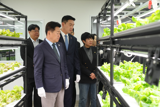 스마트팜에서 키운 상추 판매·나눔…제주, 생산형 노인일자리 주목