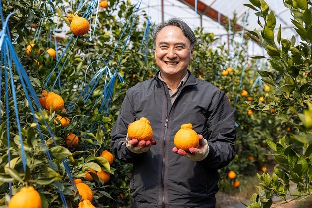 쿠팡, 제주 농가 손잡고 한라봉·천혜향 등 대규모 만감류 할인 행사