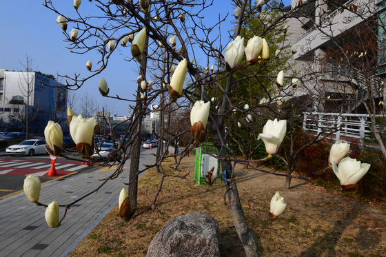 [오늘의 날씨]대구·경북(18일,수)…5~10㎜ 비, 낮 10~14도